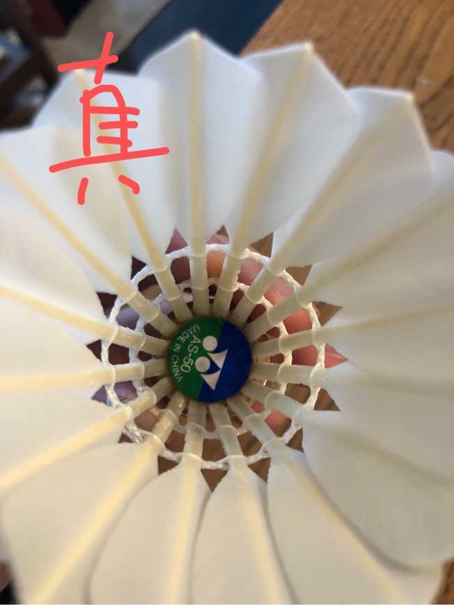 球拍鉴定风波 AS50